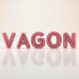 VAGON Caдовод Кор. Б 2г - 51