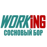 СОСНОВЫЙ БОР Работа