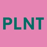 ЦВЕТЫ МОСКВА (ВЫГОДНО💸) Venikoff_net/ Lasflore.ru