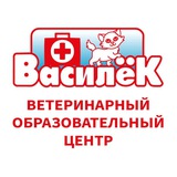 ВАСИЛЁК | Ветшкола