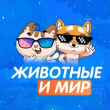 Мир и Животные
