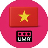 Вьетнам. Чат