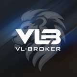 Таможенный брокер Vl-broker
