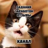 Заработок на заданиях отзывы 🚀