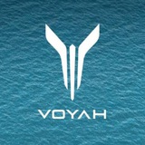 🚩Voyah Free Dream