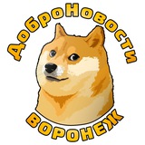 ДоброНовости Воронеж