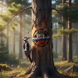 Весь Сосновый Бор🇷🇺 Бурятия