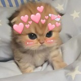 ВЗАИМНАЯ ПОДПИСКА 💕 РЕАКЦИИ 💕 ПИАР ЧАТ