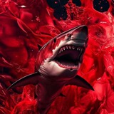Взаимные подписки тгк🦈взаимная подписка