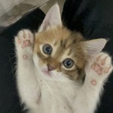 ВЗАИМНЫЕ ПОДПИСКИ💕 ПИАР ЧАТ 💖
