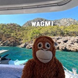 WAGMI