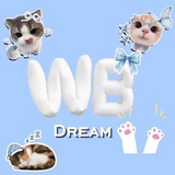WB Dream