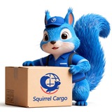 Squirell logistics - ЧАТ 🇨🇳