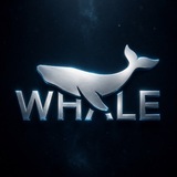 Whale Earn 🐋