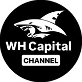 WH Capital🦈