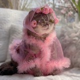 Бьюти Блажь