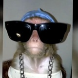 ЯША ЛАЗАРЕВСКИЙ - НИКОЛАИЧ 🐵🌴