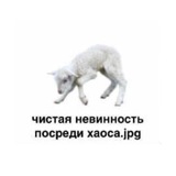 ✶ старликс