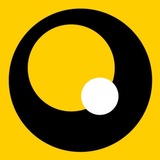 YELLOW, BLACK AND WHITE