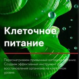 Yes Global | Богатей на здоровье