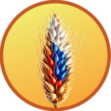 ЗЕРНО АГРО РОССИЯ