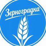 Зерноградка