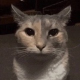Плохие Мемы