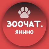 ЗОО ЧАТ ЯНИНО. Наши домашние питомцы