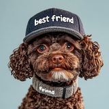 ЗооАптека🐶
