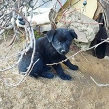 🐾 Зоомир Мариуполя 🐾