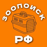 Зоопоиск РФ • потеряшки при перевозке